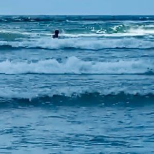 Meet your Posher, Catherine